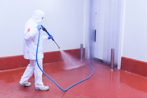 Best Patio and Deck Pressure Washing  in East Massapequa, NY